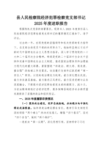 县人民检察院经济犯罪检察党支部书记2025年度述职报告