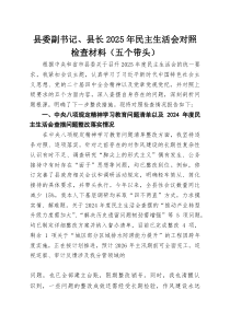 县委副书记、县长2025年民主生活会对照检查材料（五个带头）