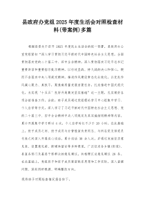 县政府办党组2025年度生活会对照检查材料(带案例)多篇