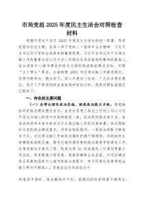 市局党组2025年度民主生活会对照检查材料