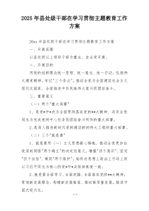 2025年县处级干部在学习贯彻主题教育工作方案