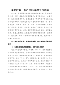 某驻村第一书记2025年度工作总结