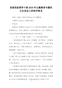 党委党组领导干部2025年主题教育专题民主生活会上的批评意见