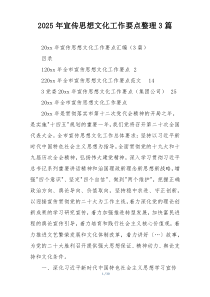 2025年宣传思想文化工作要点整理3篇