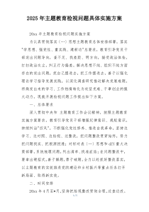 2025年主题教育检视问题具体实施方案