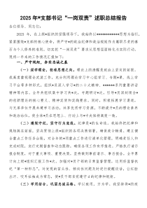 2026年党支部书记“一岗双责”述职总结报告