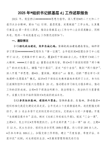 2026年党组织书记抓基层党建工作述职报告