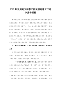 2026年基层党支部书记抓基层党建工作述职报告材料