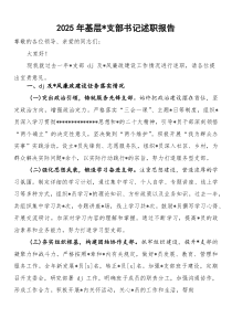 2026年基层党支部书记述职报告