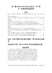 2026年度专题民主生活会重点围绕五个带头个人对照发言提纲