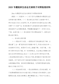 2025专题组织生活会支部班子对照检视材料