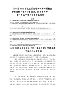 2026年度专题民主生活会（五个方面）存在问题对照检查检查材料