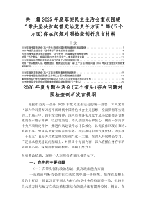 2026年度专题民主生活会（五个方面）突出问题检视研讨发言