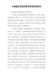 乡镇基层党组织建设典型经验材料