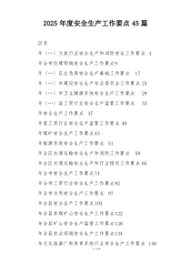 2025年度安全生产工作要点45篇