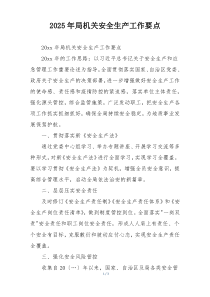 2025年局机关安全生产工作要点