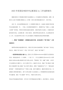 2026年度基层党组织书记抓基层党建工作述职报告