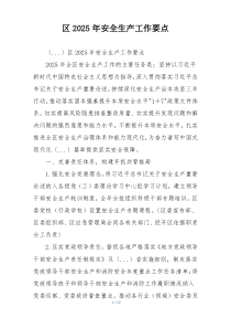 区2025年安全生产工作要点