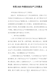 市局2025年度安全生产工作要点