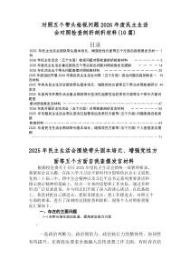 2026年民主生活会（五个带头方面）存在问题党性分析检查材料