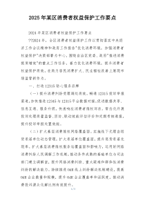 2025年某区消费者权益保护工作要点