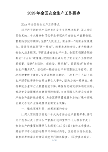 2025年全区安全生产工作要点