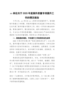 XX单位关于2026年度案件质量专项提升工作的情况报告