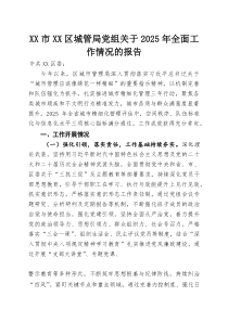 XX市XX区城管局党组关于2026年全面工作情况的报告