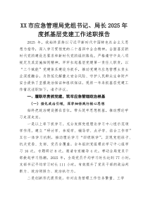 XX市应急管理局党组书记、局长2026年度抓基层党建工作述职报告