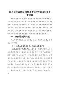 X县司法局局长2026年度民主生活会对照检查材料
