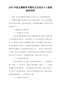 2025年度主题教育专题民主生活会个人检视剖析材料