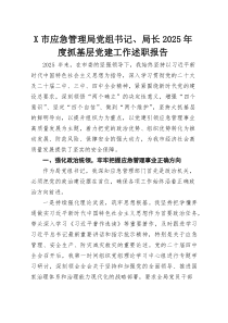 X市应急管理局党组书记、局长2026年度抓基层党建工作述职报告