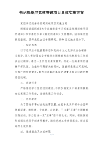 书记抓基层党建突破项目具体实施方案