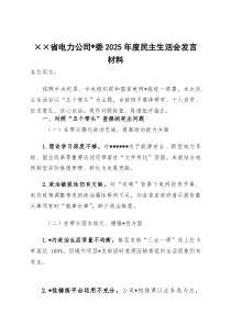 ××省电力公司党委2026年度民主生活会发言材料