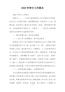 2025年审计工作要点
