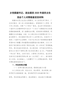 乡党委副书记、政法委员2026年度民主生活会个人对照检查发言材料