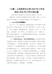 人民政府办公室2026年工作总结及2026年工作计划4篇汇总