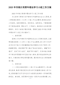 2025年市统计局青年理论学习小组工作方案