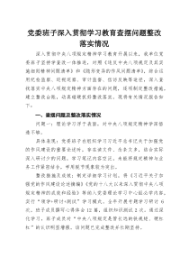 党委班子深入贯彻学习教育查摆问题整改落实情况