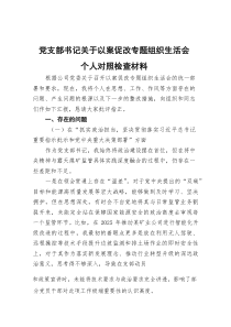 党支部书记关于以案促改专题组织生活会个人对照检查材料