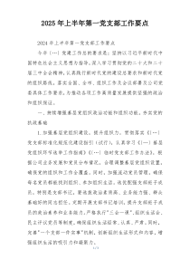 2025年上半年第一党支部工作要点