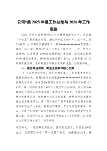 公司党委2026年度工作总结与2026年工作思路