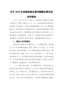 关于2026年县委巡察反馈问题整改情况的自评报告