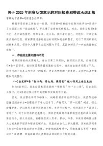 关于2026年巡察反馈意见的对照检查和整改承诺汇报