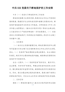 中共XXX党委关于耕地保护的工作安排