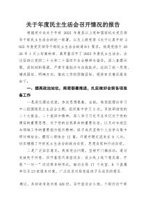 关于年度民主生活会召开情况的报告