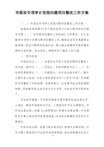 市落实专项审计发现问题项目整改工作方案