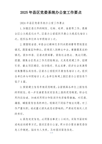 2025年县区党委系统办公室工作要点