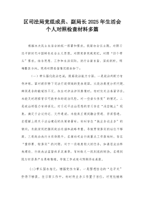 区司法局党组成员、副局长2026年生活会个人对照检查材料多篇