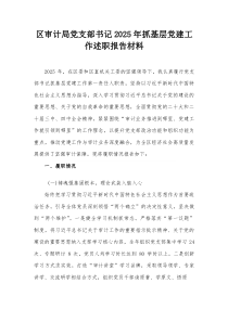 区审计局党支部书记2026年抓基层党建工作述职报告材料